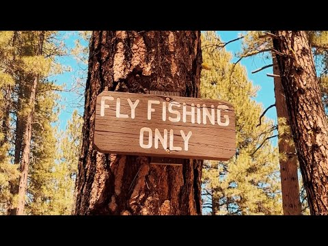 One Perfect Morning on the Metolius River