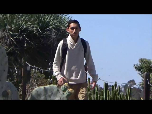 Director Style Film HD