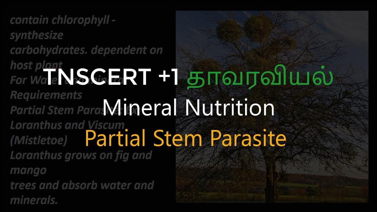37.Botany | Mineral Nutrition | Partial Stem Parasite