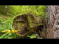 Redwood National Park 4K 🇺🇸 A Scenic Relaxation Walk Tour With Calm Music For Stress Relief