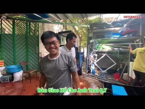 Video Bàn Giao Hồ Công Nghệ 133x68 | | Hồ Cá Rồng Hoàng Lam - youtube