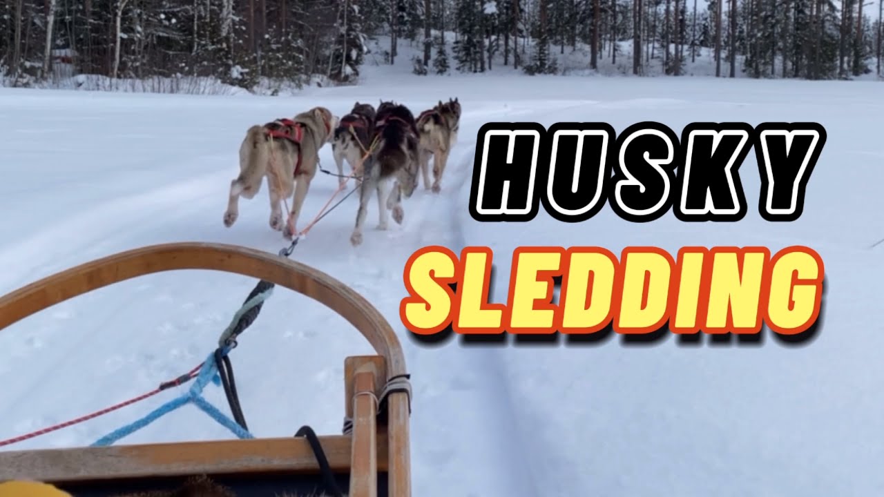 HUSKY SLEDDING IN HIMOS, FINLAND | THE NOMMIKS -VLOG #19