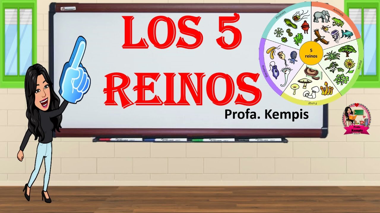 Los 5 reinos