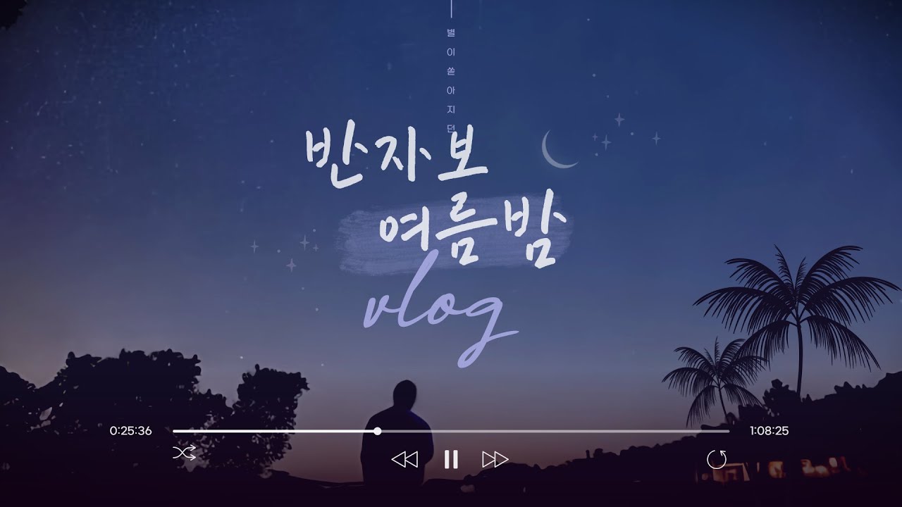 반자보 여름밤 vlog