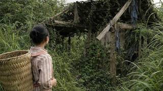 Full video: A single mother finds an abandoned house in the deep forest - life starts from zero screenshot 4