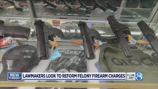 Michigan bipartisan bills could reform felony firearm charges