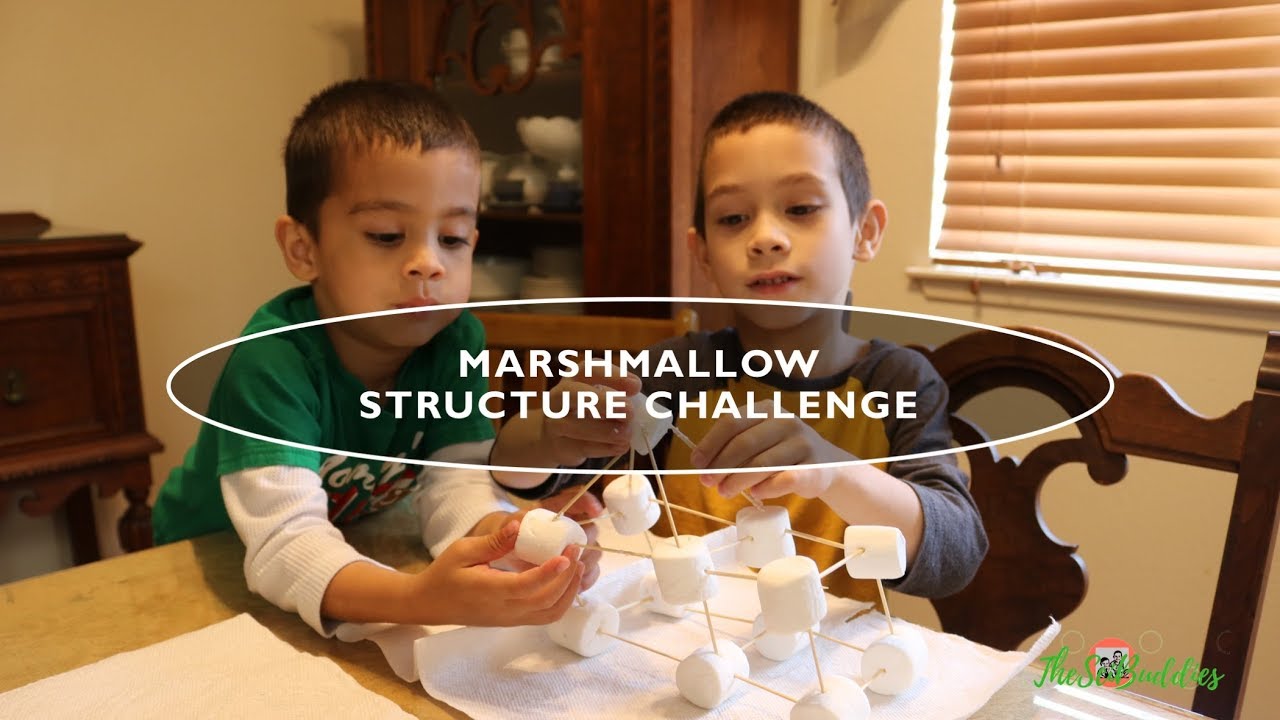 Marshmallow Structure Challenge TheSciBuddies YouTube