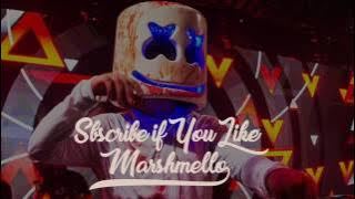 Mike Perry - The Ocean (Marshmello remix)