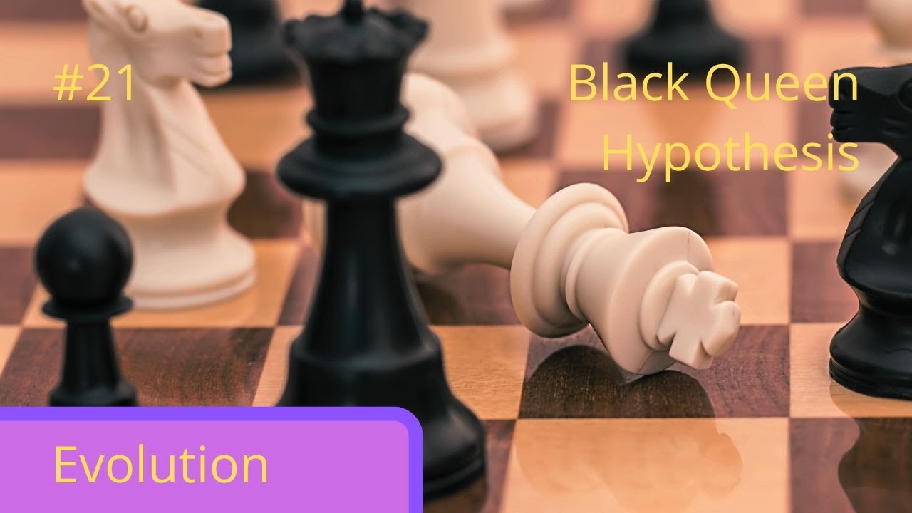 Biopedia episode 21- The Black Queen Hypothesis