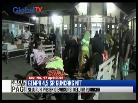 Gempa Bumi 4 5 SR Guncang Alor Dan Kalabahi NTT BIP 18 04 