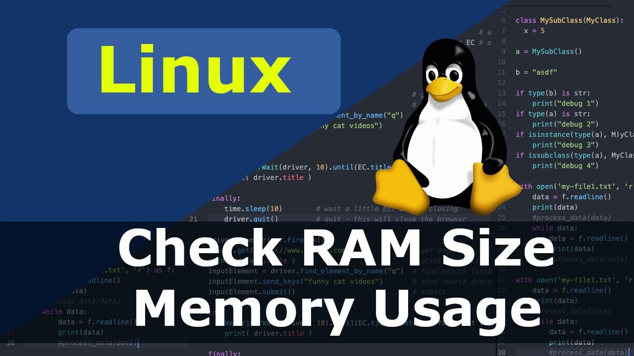 Sanselig Citron Demokratisk parti Linux - How To Check RAM Size And Memory Usage - YouTube
