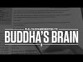 PNTV: Buddha's Brain by Rick Hanson