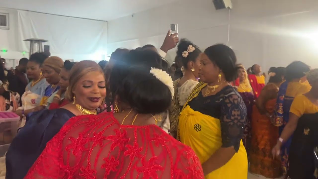 Биви Мотамо в Тулузе 22.11.2025