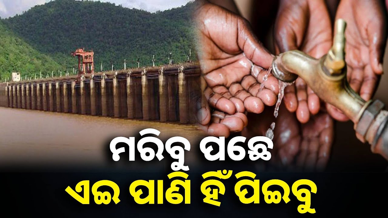 ଅତ୍ୟନ୍ତ ଅସ୍ୱଚ୍ଛ ପାଣି ପିଉଛନ୍ତି ରେଙ୍ଗାଲି ଡ୍ୟାମ ଅଞ୍ଚଳ ଲୋକେ, ଦାୟୀ କାହାକୁ କରିବ?  || Knews odisha