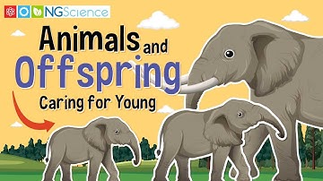 Animals and Offspring – Caring for Young