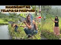 Ref:IOEp6JedUQI Namingwit ng telapia sa fishpond | funny tiktok compilation goodvibes | queenie dawson 
