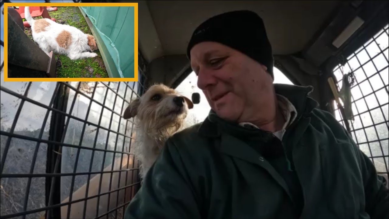 06/01/24 Muck and rats! - YouTube