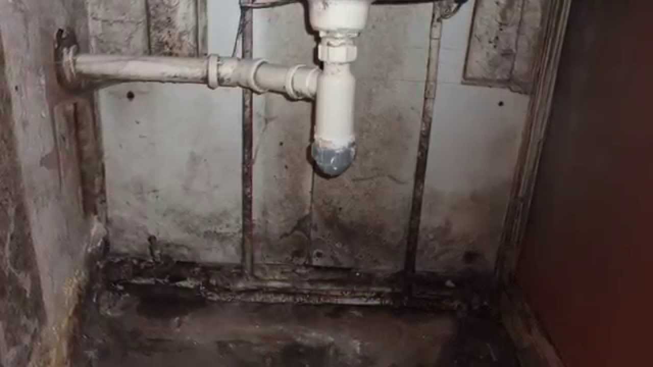 MouldDoctor letting agents