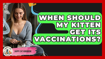 When Should My Kitten Get Its Vaccinations? - Happy Cat Handbook