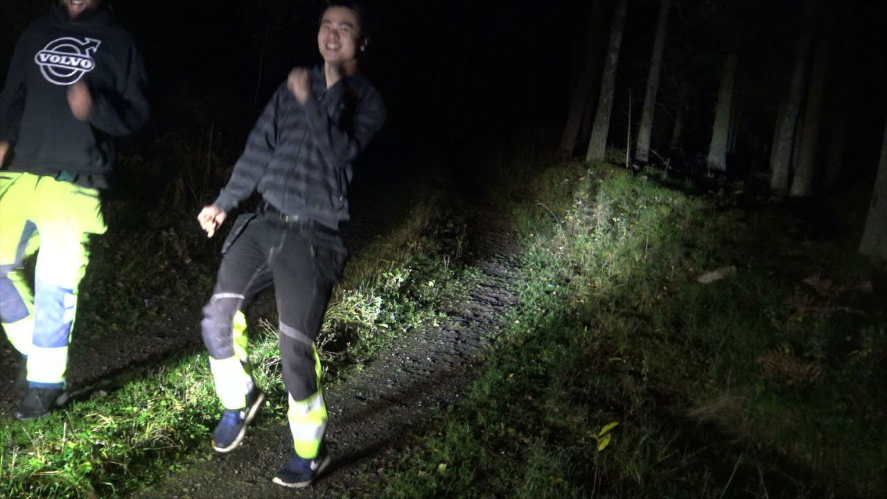 Myror I Brallan Intro (Parodi)