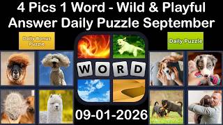 4 Pics 1 Word - ANSWER 01 September 2026 –Wild & Playful - Daily Puzzle + Bonus (Solution) screenshot 4