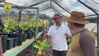 Building Maui’s Superfood Forest: Hands-On Lessons at Okoa Farms