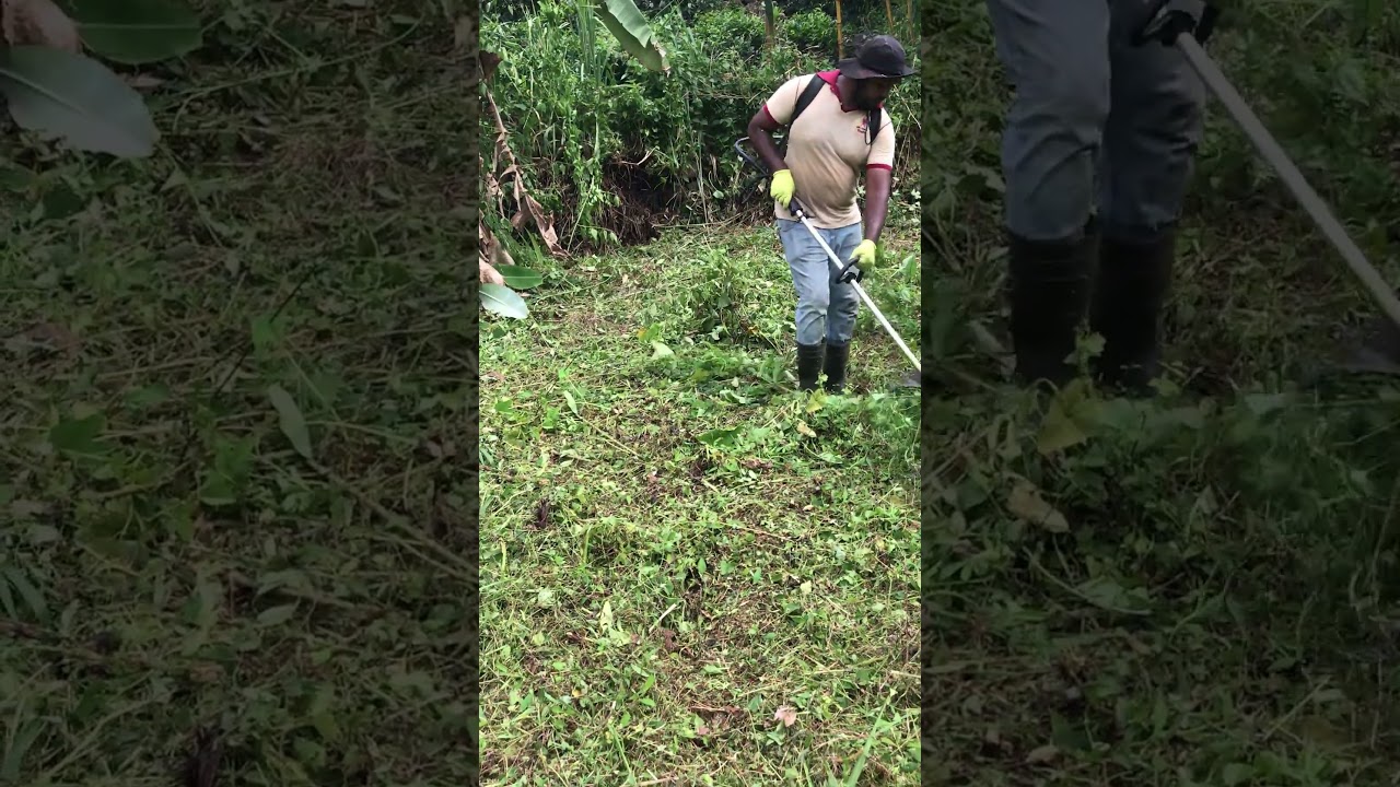 Oddly Satisfying Grass Cutting | Sharp Blade Cutting ASMR