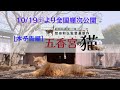 ドキュメンタリー映画「五香宮の猫」本予告