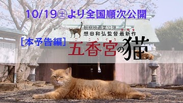 ◆『五香宮の猫』（想田和弘監督）本予告編◆