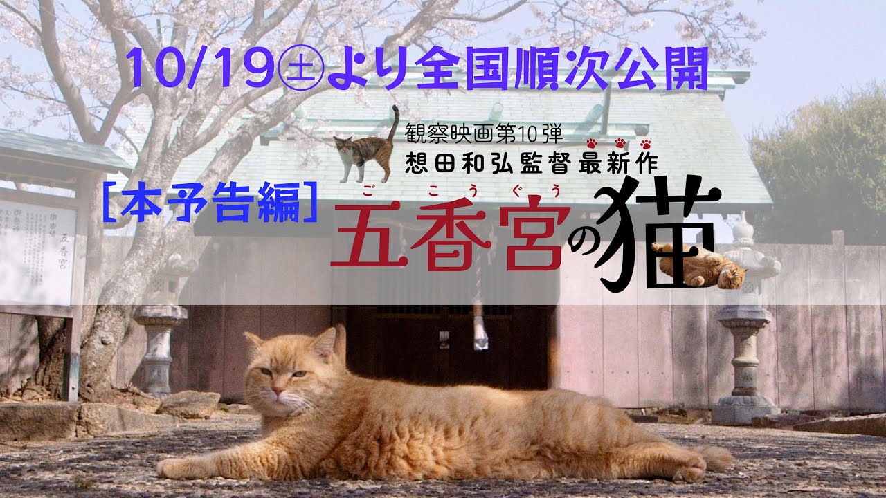 ◆『五香宮の猫』（想田和弘監督）本予告編◆