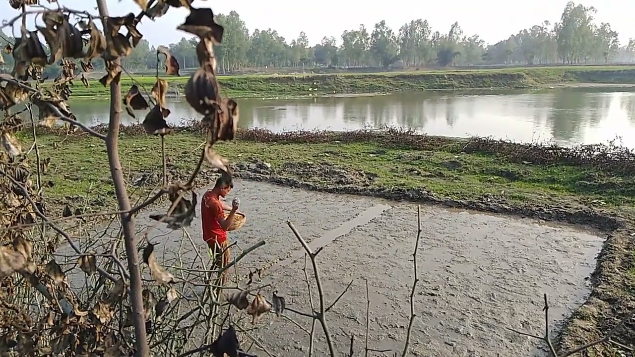 Riverbank Direct Seed Sowing.