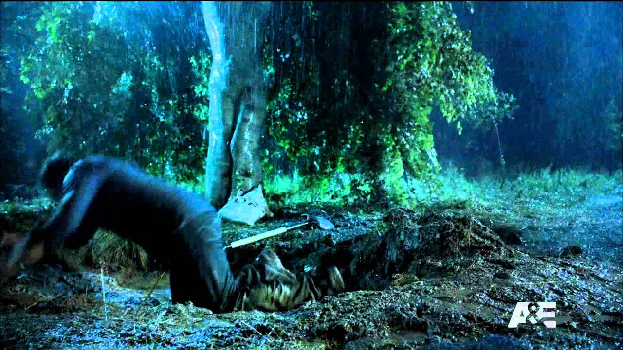 Pierce Brosnan tree fight from Bag of Bones