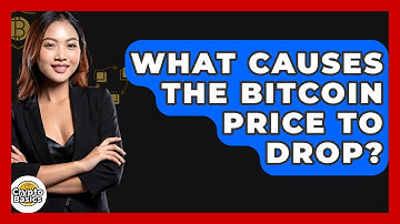 What Causes the Bitcoin Price to Drop? | CryptoBasics360 News