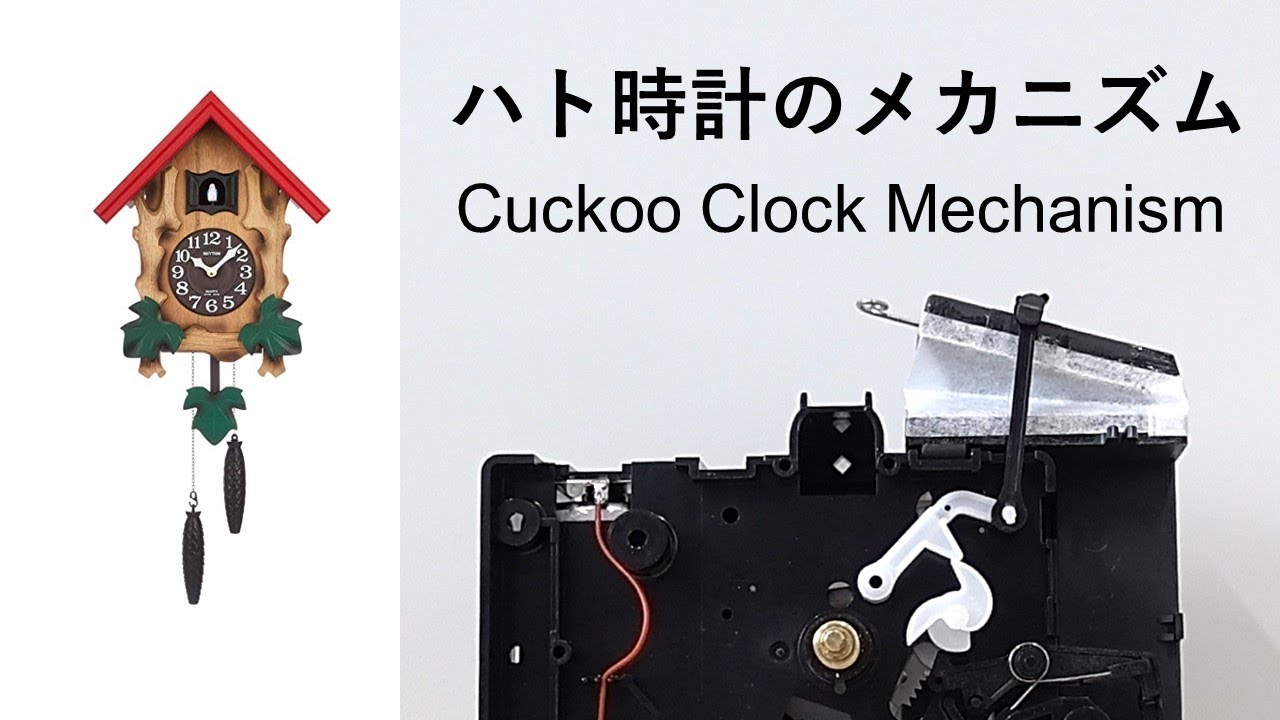 Bellows and rotating cam mechanism design of pigeon clock - YouTube