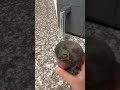 #funny