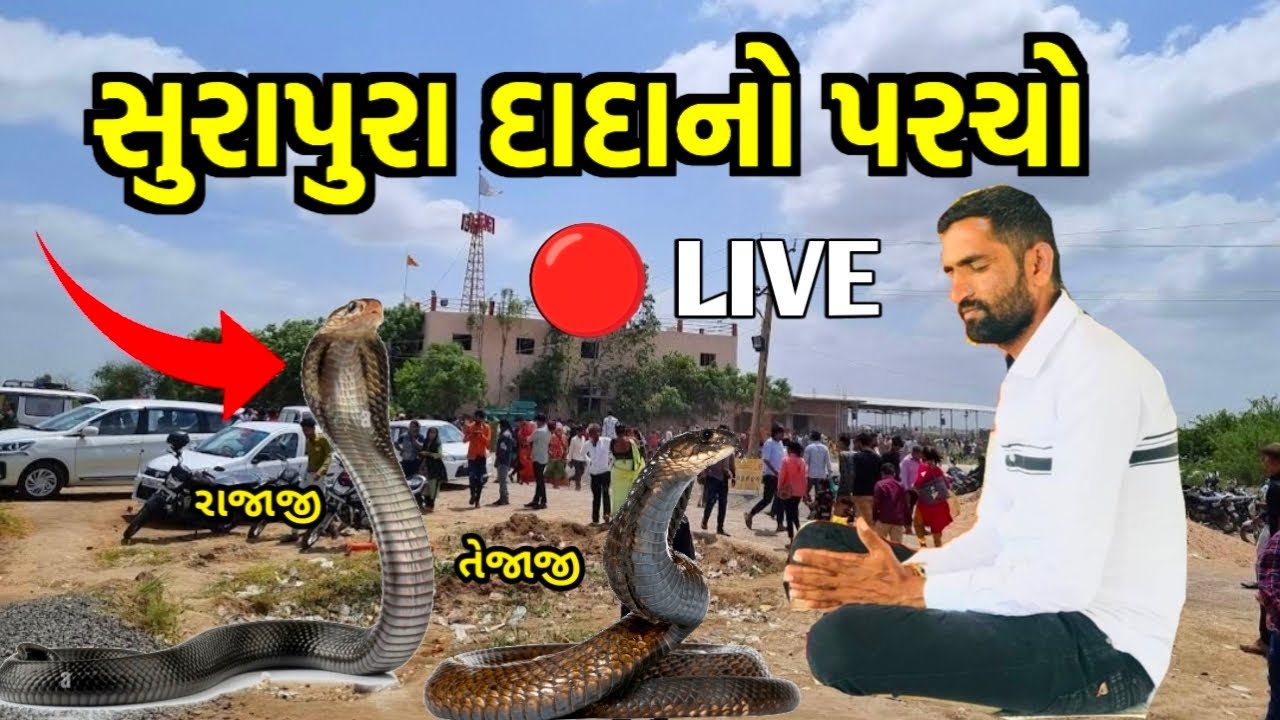 સુરાપુરા ધામ ભોળાદ લાઇવ પરચો 😱 Surapura Dada Bholad | Bholad Surapura Dada | Surapura Dham Bholad