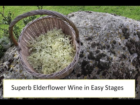 making-elderflower-wine---the-taste-of-summer-(part-1)