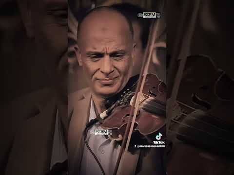 كل الناس ممكن تخمك احمد شيبه