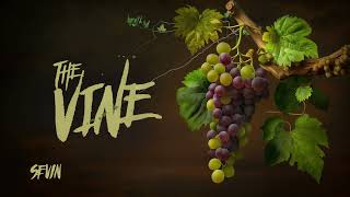 SEVIN - "THE VINE" VISUALIZER - SUBCRIBE! Mozes Album available now #sevin #mozes #rap #hiphopmusic