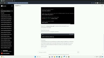 python selenium webdriver windows