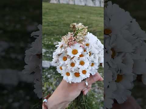 Цвет настроения -