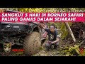 Sangkut 5 hari di borneo safari paling ganas dalam sejarah