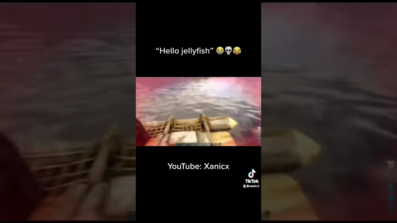 “Hello jellyfish”😂 