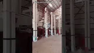 60T/D Rice Milling Plant and Grain Silo and Paddy Dryer for Our Customer #ricemillmachine