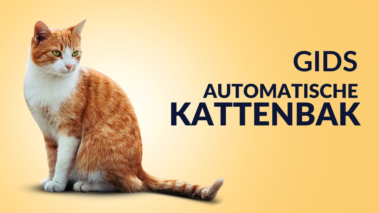 Handmatige of Zelfreinigende kattenbak: tips voor een tevreden kat | Journal