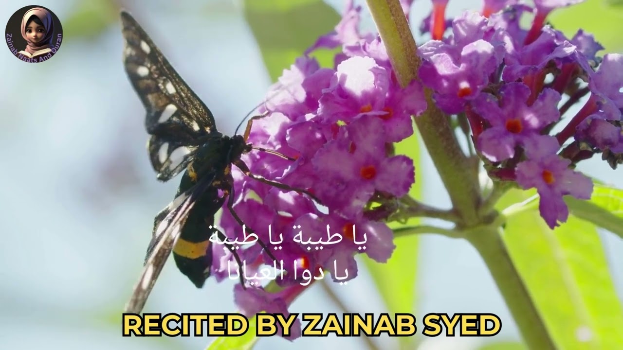 YATAIBA YATAIBA  Beautifully recited by ZAINAB SYED