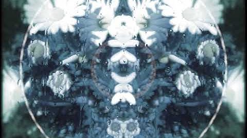 Sun Rain - Willow Tree Testing (Official Music Video)