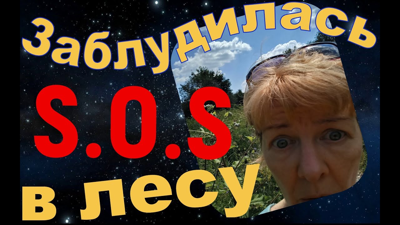 Я заблудилась в лесу  Полевые цветы  Je me suis perdue dans le forêt