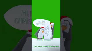 Cute Christmas Penguin #christmas #instagood #love #gifttree #animation #greenscreenfootage