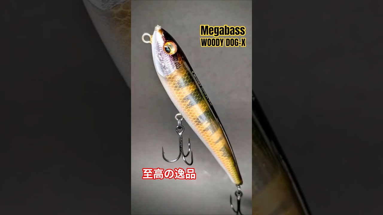WOODY DOG-X トップウォーター ルアー The Ultimate Masterpiece. 2012 WOODY DOG-X 💎 - YouTube